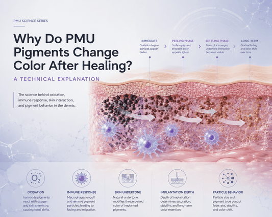Illustration showing PMU pigment color change after healing, depicting pigment particles interacting with skin layers, immune response, oxidation process, and color shift mechanisms within dermal tissue.