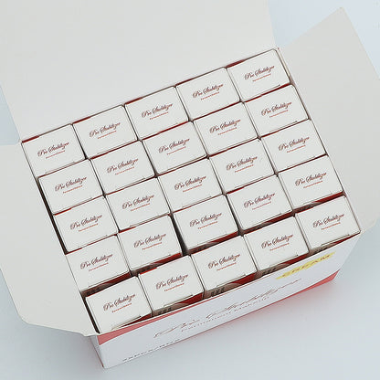 PMU Numbing Cream 10pcs Box - Pre Stabilizer for Microblading